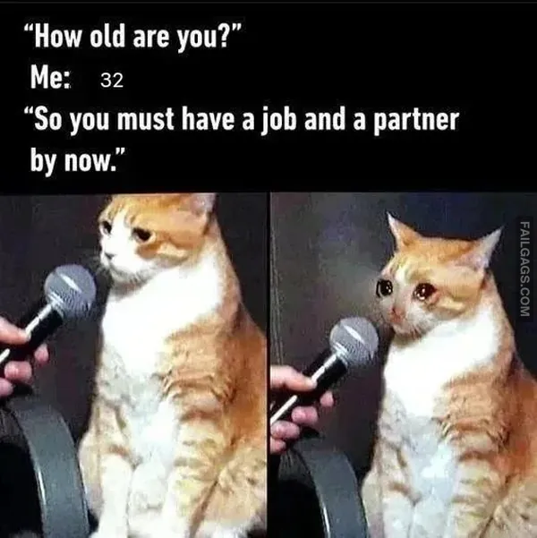 Funny Indian Memes 11 2