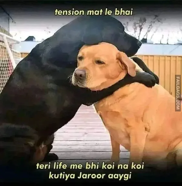 Funny Indian Memes 6 4