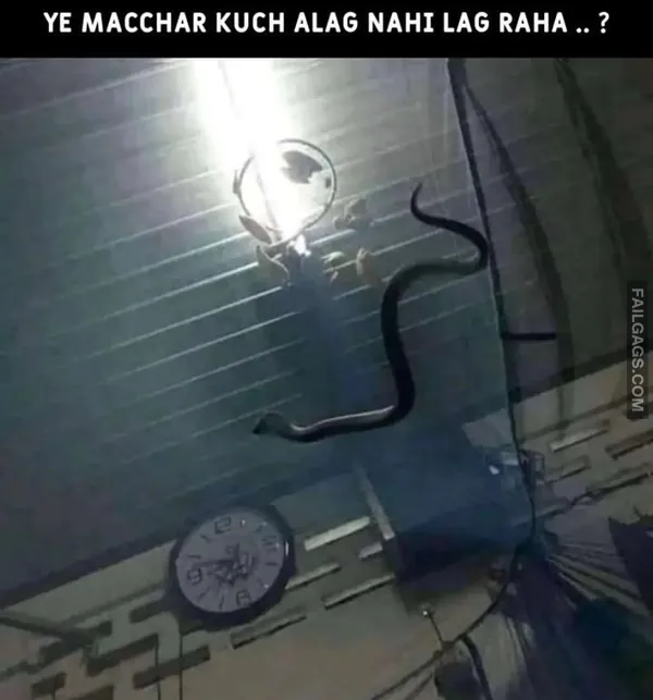 Funny Indian Memes 6 7