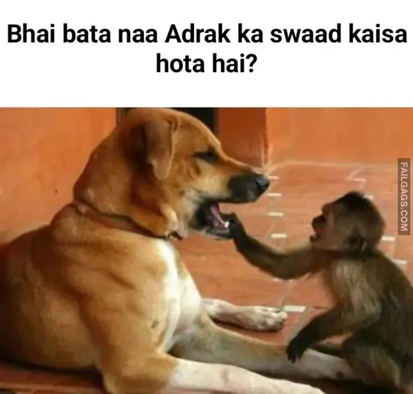 Funny Indian Memes 8 5