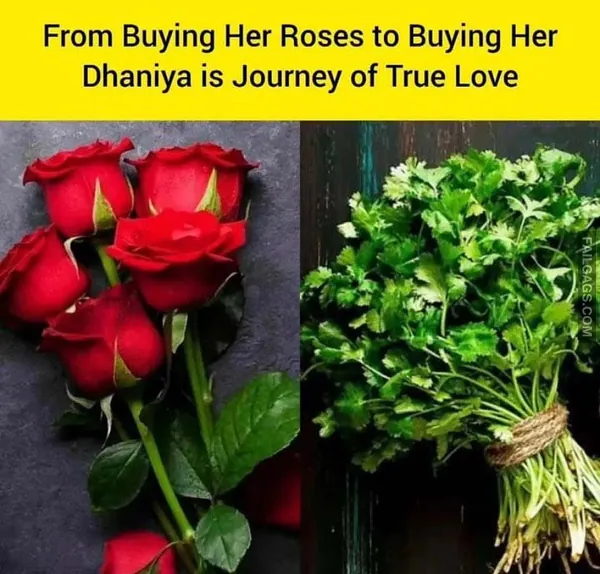 Funny Indian Memes 8 6