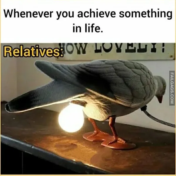 Funny Indian Memes 9 3