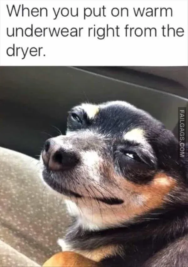 Funny Meme 3