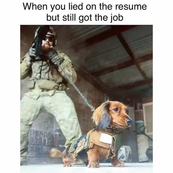 Funny Memes 1 8