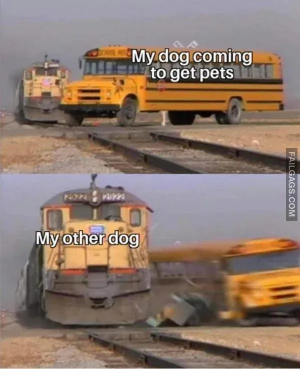 Funny Memes 10 6