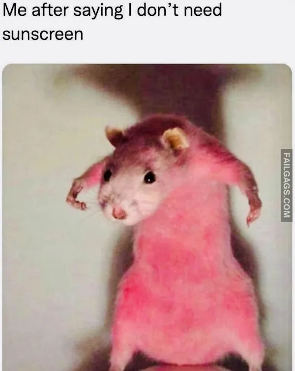 Funny Memes 10 8