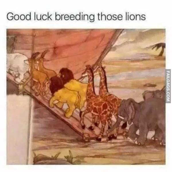 Funny Memes 11 3