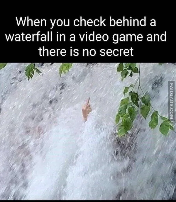 Funny Memes 11 5