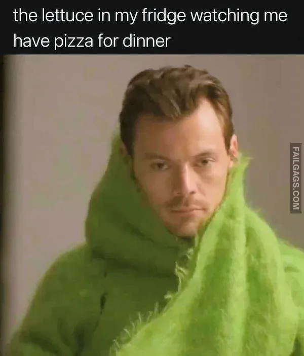Funny Memes 13 1