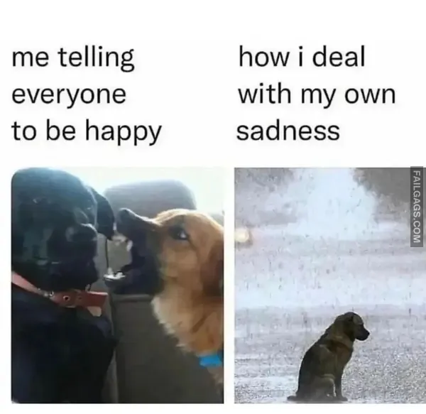 Funny Memes 2 7