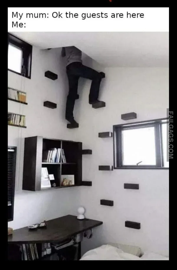 Funny Memes 4 6