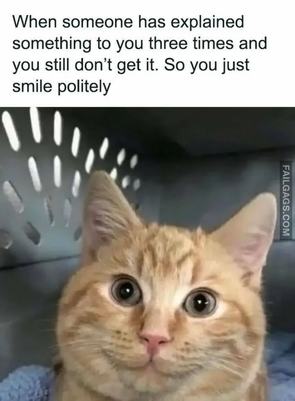 Funny Memes 5 5