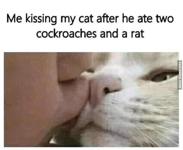 Funny Memes 5 8