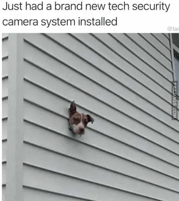 Funny Memes 6 8