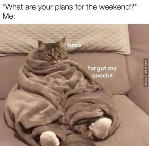 Funny Memes 8