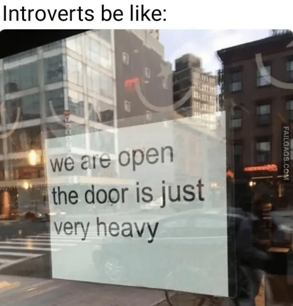 Funny Memes for Introverts 11
