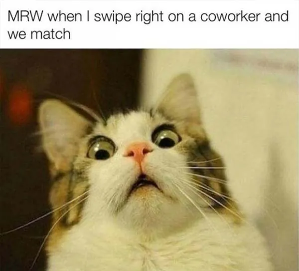 Funny Online Dating Memes 1