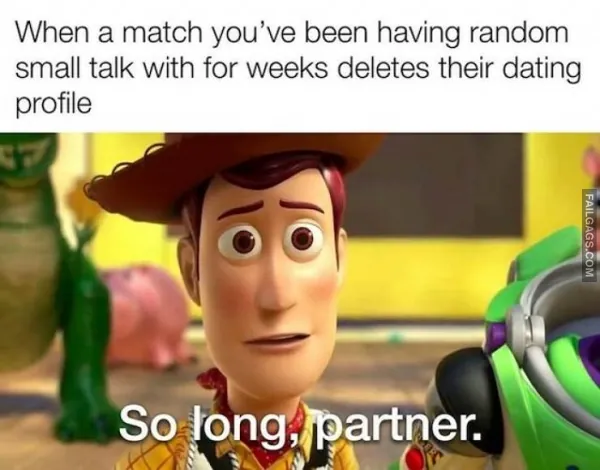 Funny Online Dating Memes 11