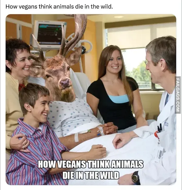 Funny Vegan Memes 11