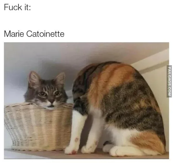 Historical Memes 8