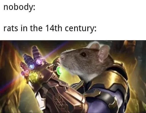 History Memes 1