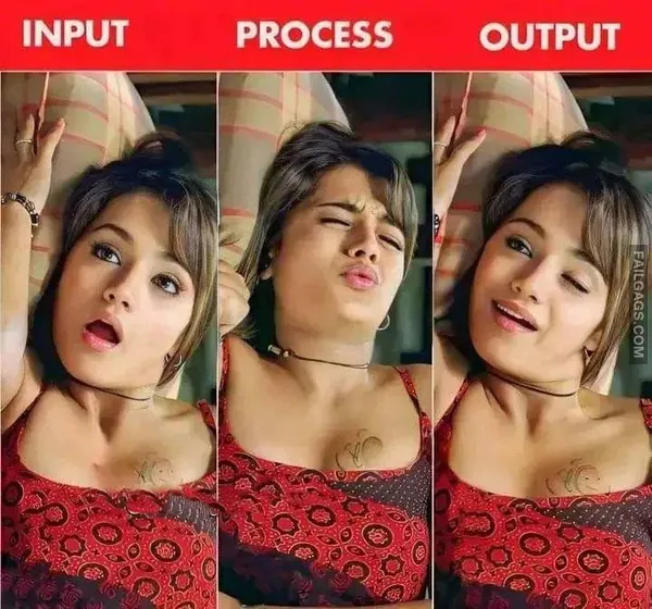 Indian NSFW Memes 8
