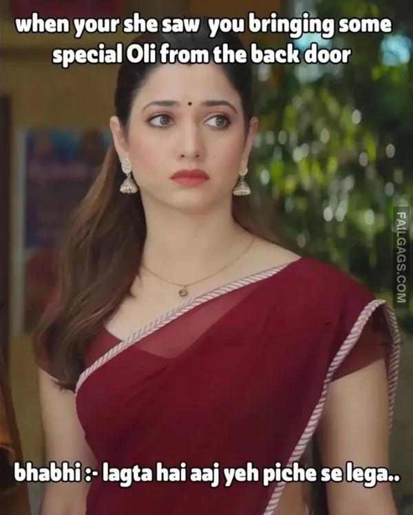 Indian Sex Memes 7