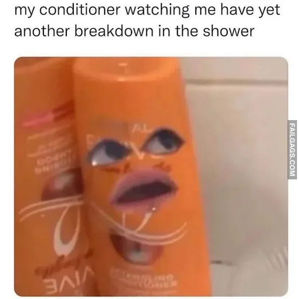 Sarcastic Memes 8