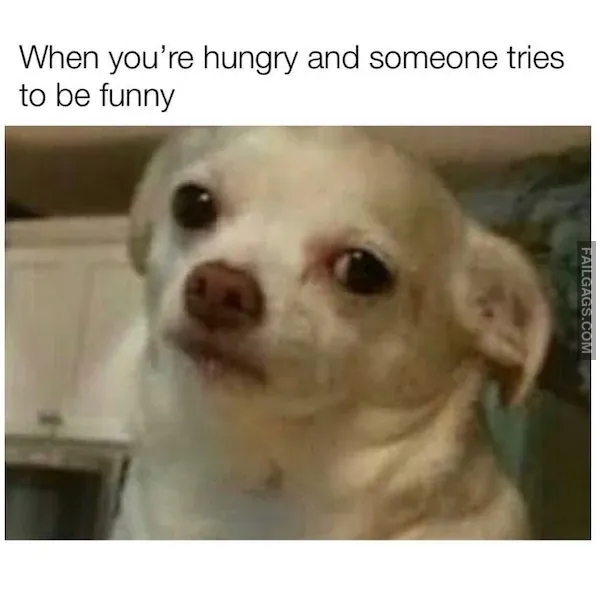 Sarcastic Memes 9