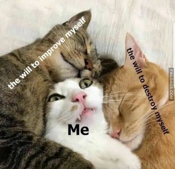 So True Memes 5