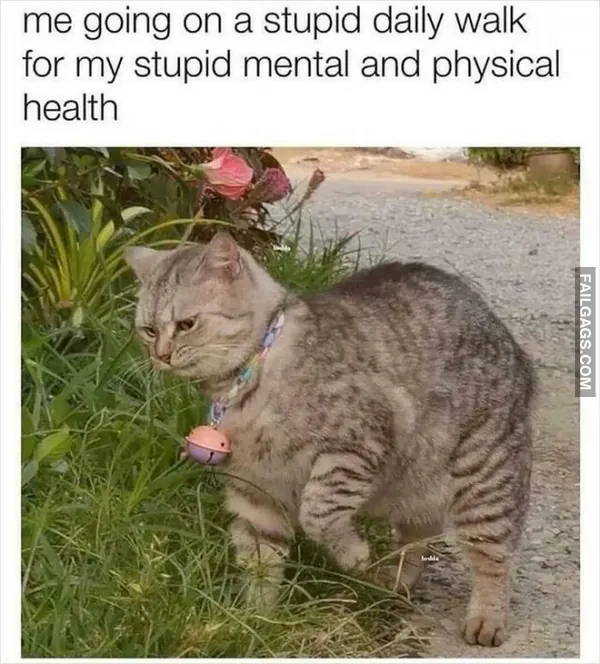 So True Memes 9