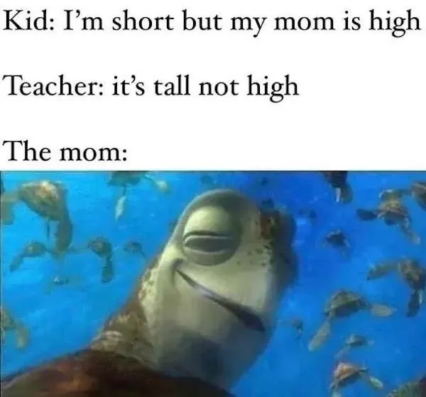 Stoner Memes 1