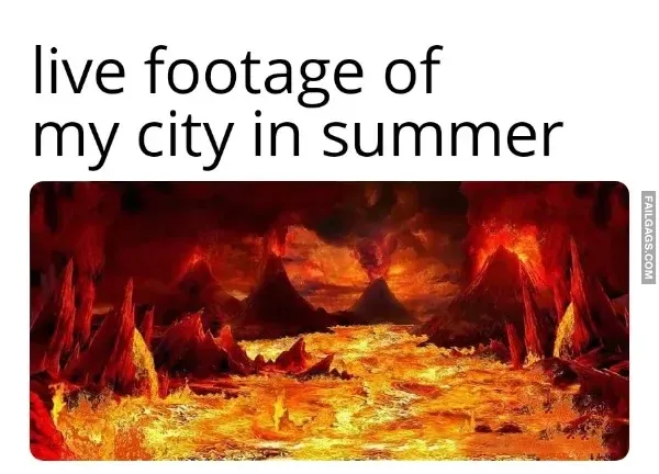 Dank Memes 5 3