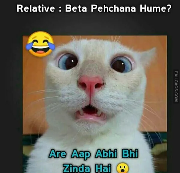 Funny Hindi Memes 2