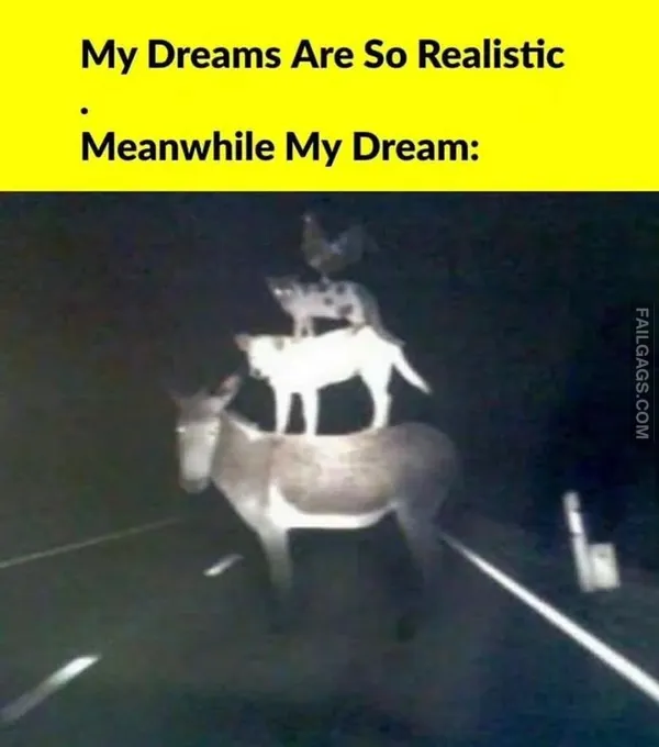 Funny Indian Memes 6