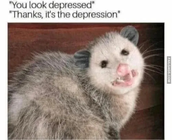 Funny Memes 10