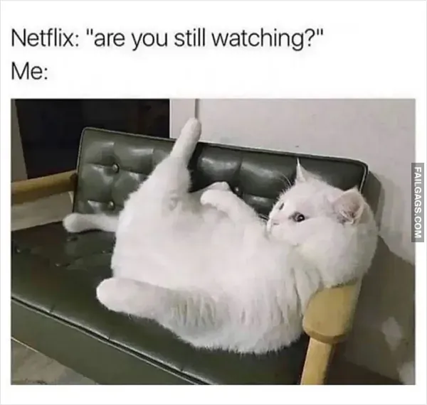 Funny Memes 11 3