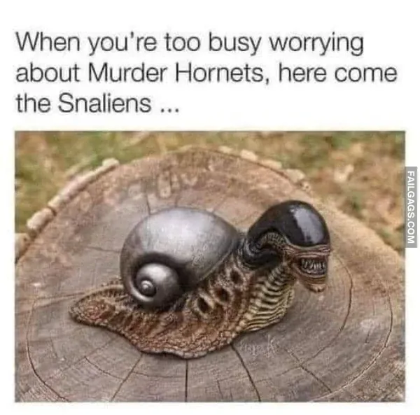Funny Memes 11