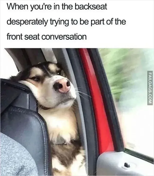 Funny Memes 3 4