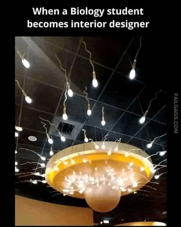 Funny Memes 3 6