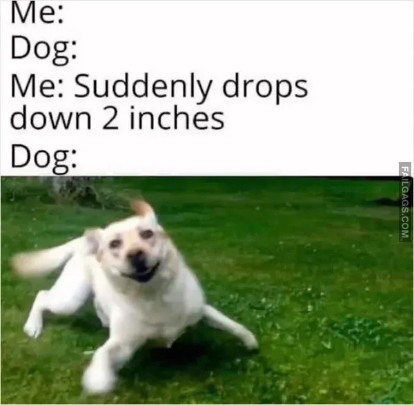 Funny Memes 4 4