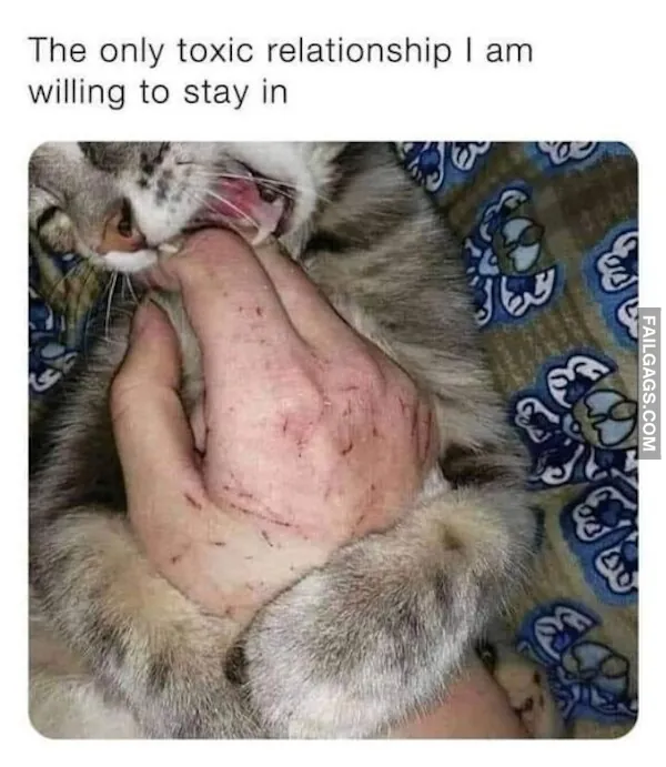 Funny Memes 4 6