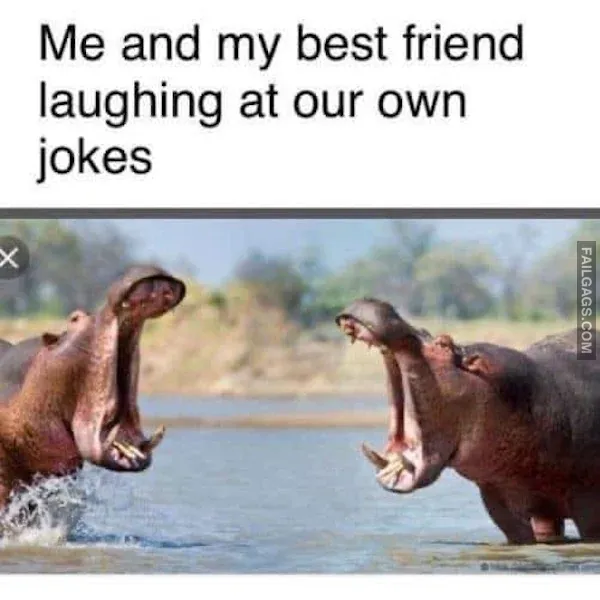Funny Memes 5 6