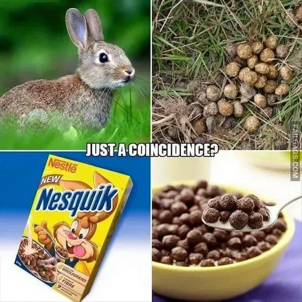 Funny Memes 8 6