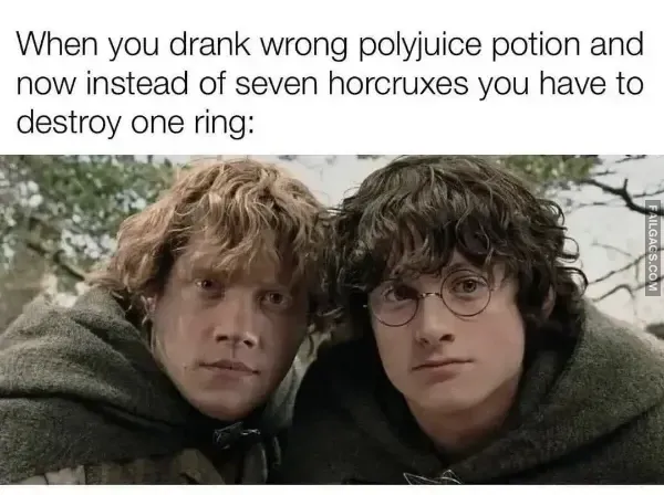 Funny Memes 9 5