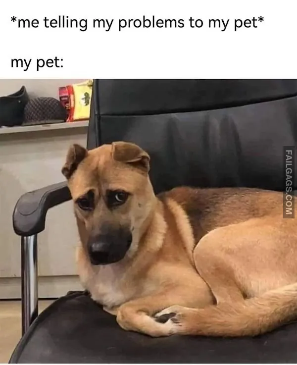 Funny Memes for Introverts 5