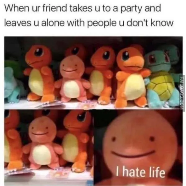 Funny Memes for Introverts 6
