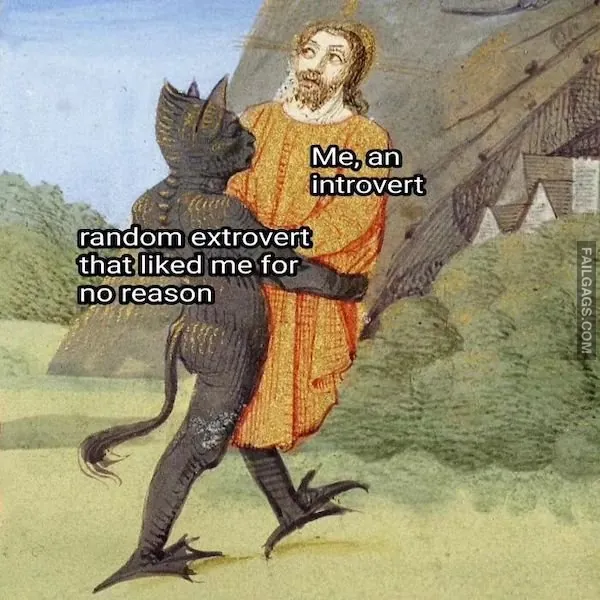 Funny Memes for Introverts 7