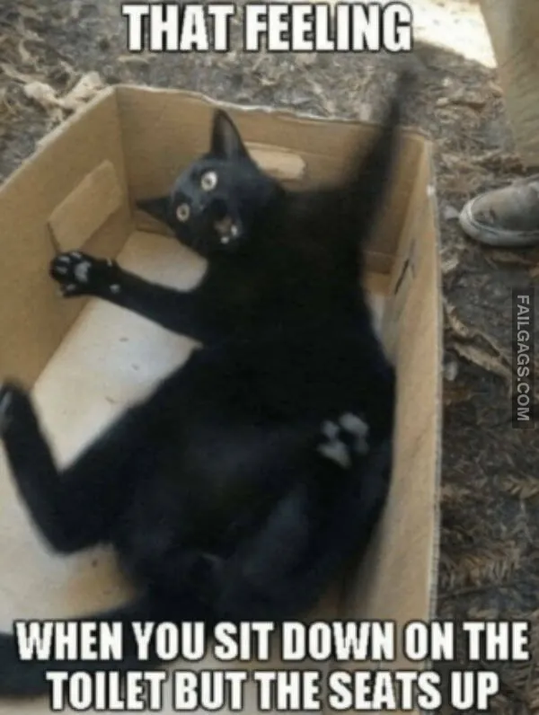 So True Memes 9
