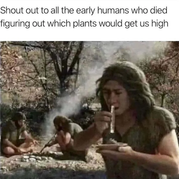 stoner memes 1
